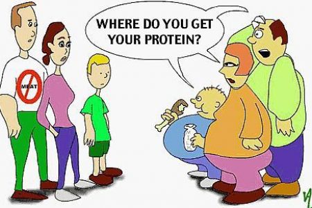 protein_full1