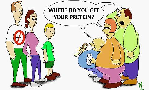 protein_full1
