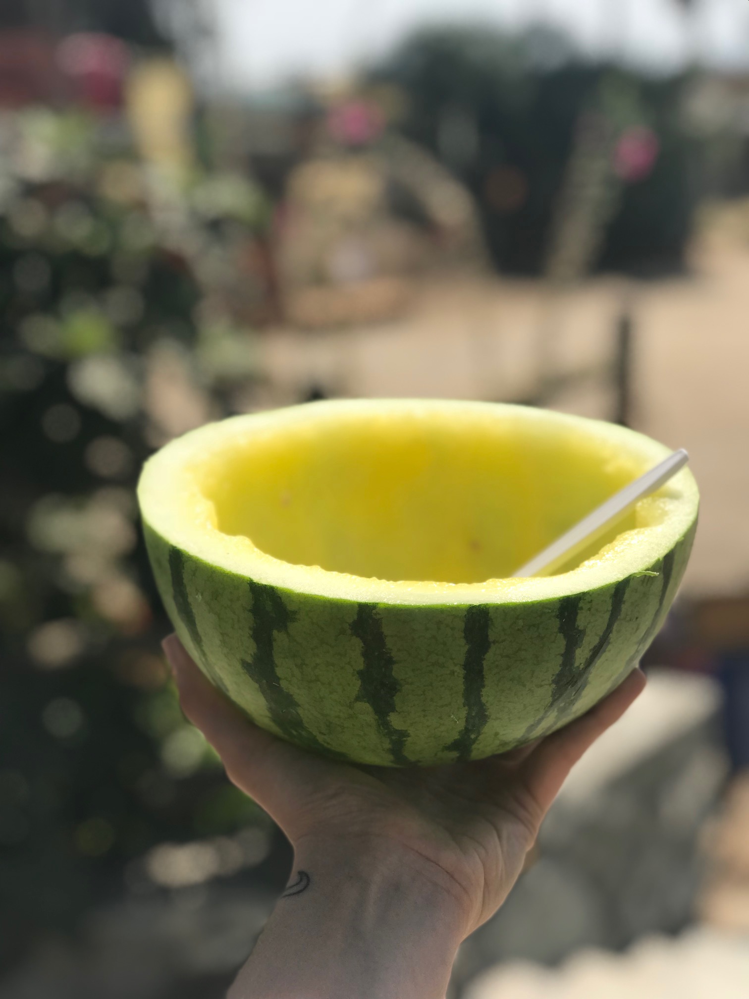 yellow farm grown organic watermelon